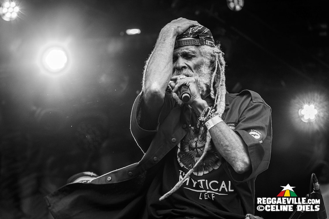 Agent Sasco, Busy Signal, Bushman, I Wayne, The Congos, Rockers