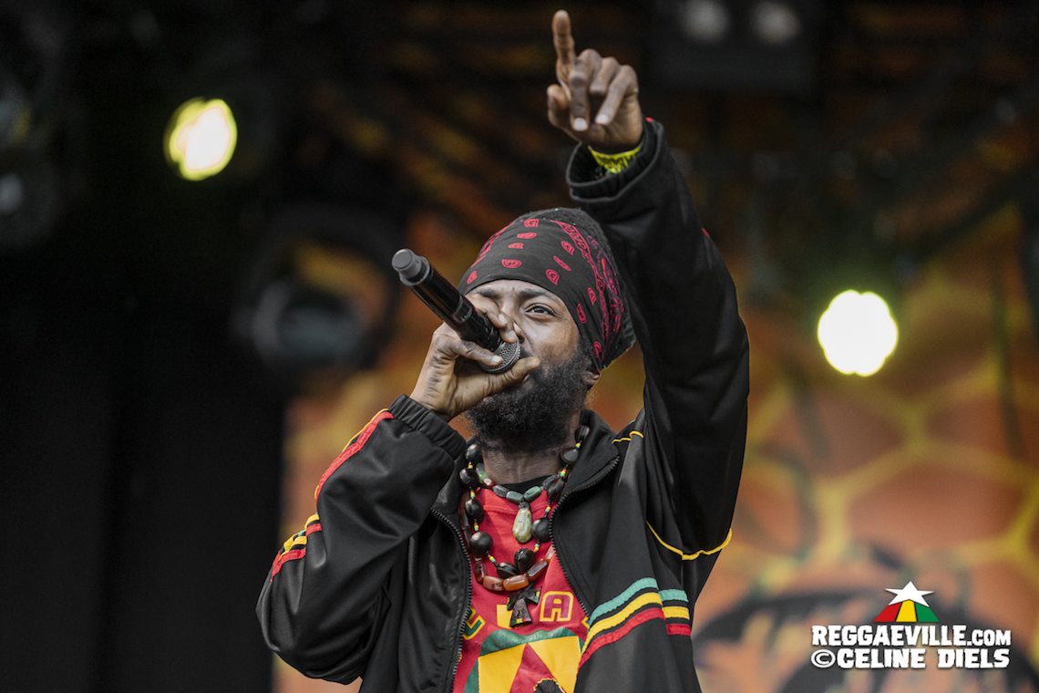 Agent Sasco, Busy Signal, Bushman, I Wayne, The Congos, Rockers