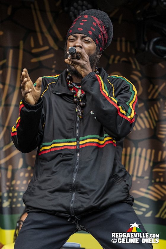 Agent Sasco, Busy Signal, Bushman, I Wayne, The Congos, Rockers