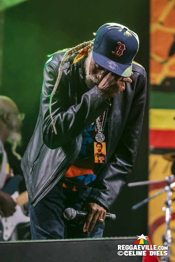 Agent Sasco, Busy Signal, Bushman, I Wayne, The Congos, Rockers