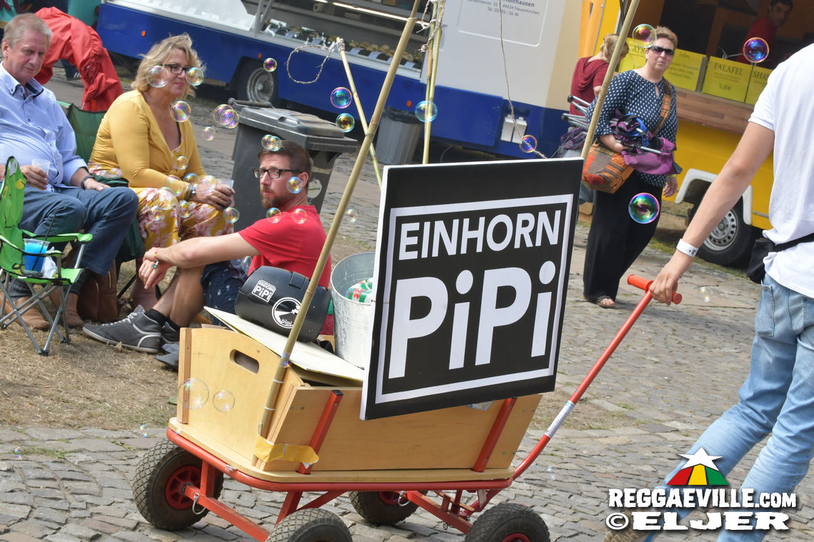 Festival Impressions