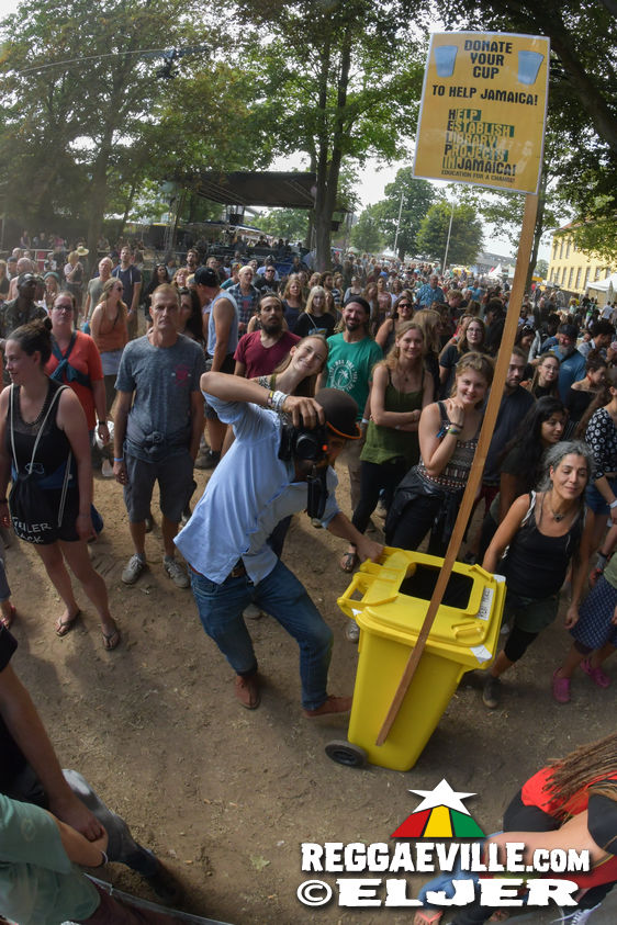 Festival Impressions