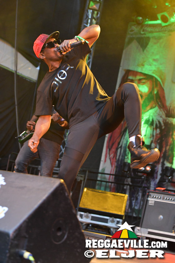 Busy Signal, Memoria, Dr.Ring Ding