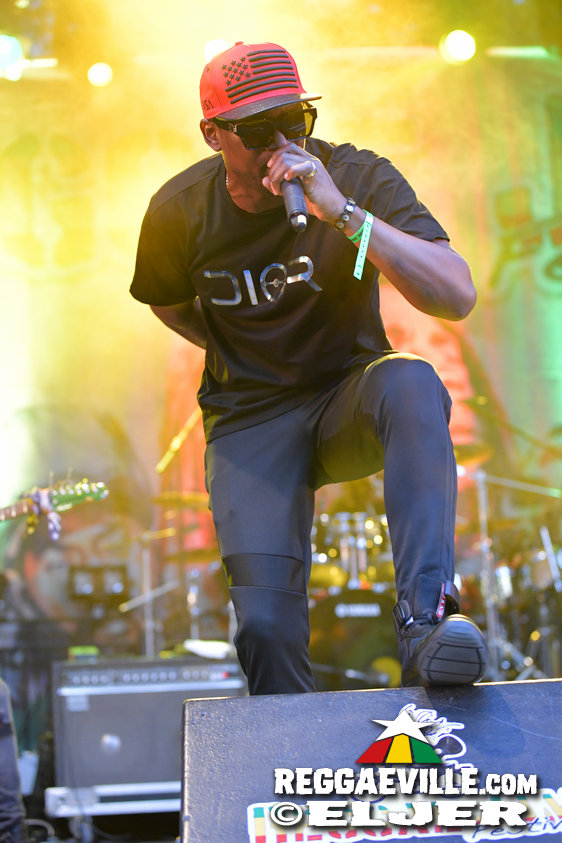 Busy Signal, Memoria, Dr.Ring Ding