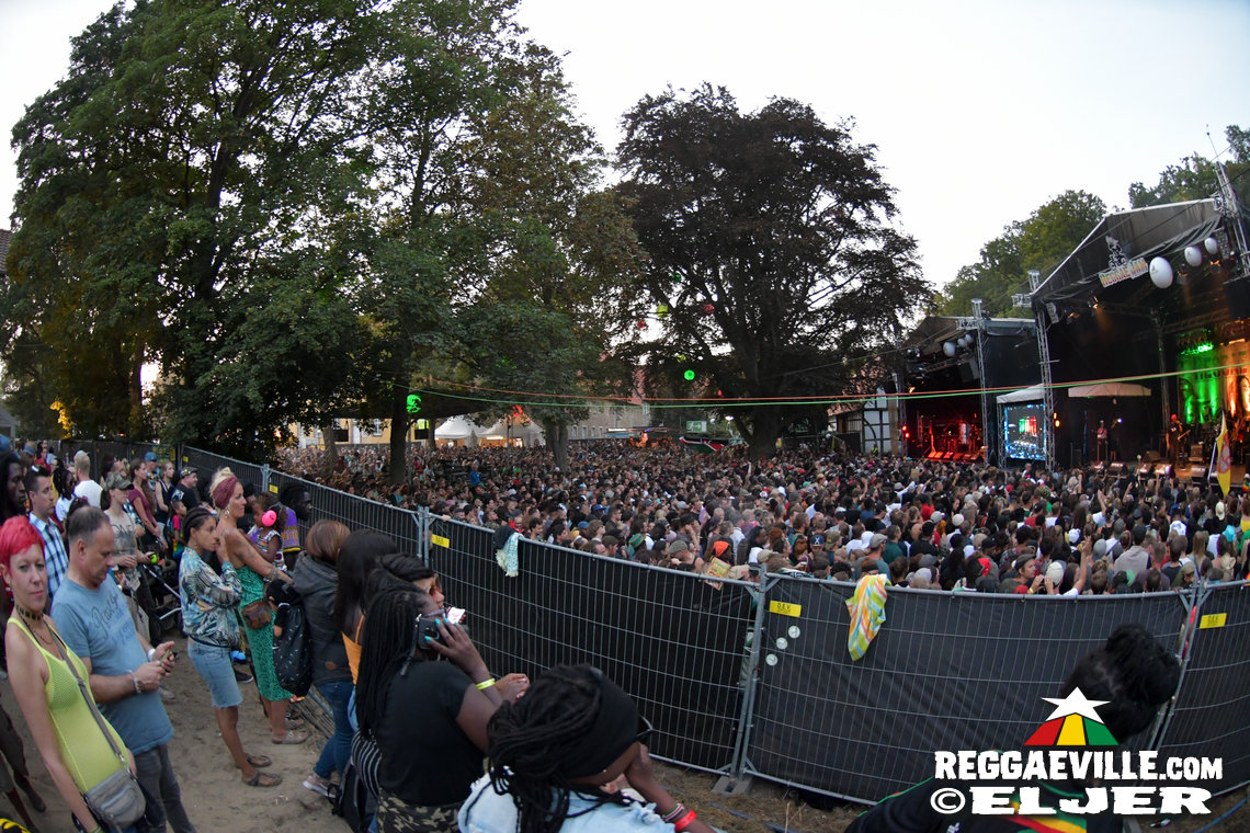 Busy Signal, Memoria, Dr.Ring Ding