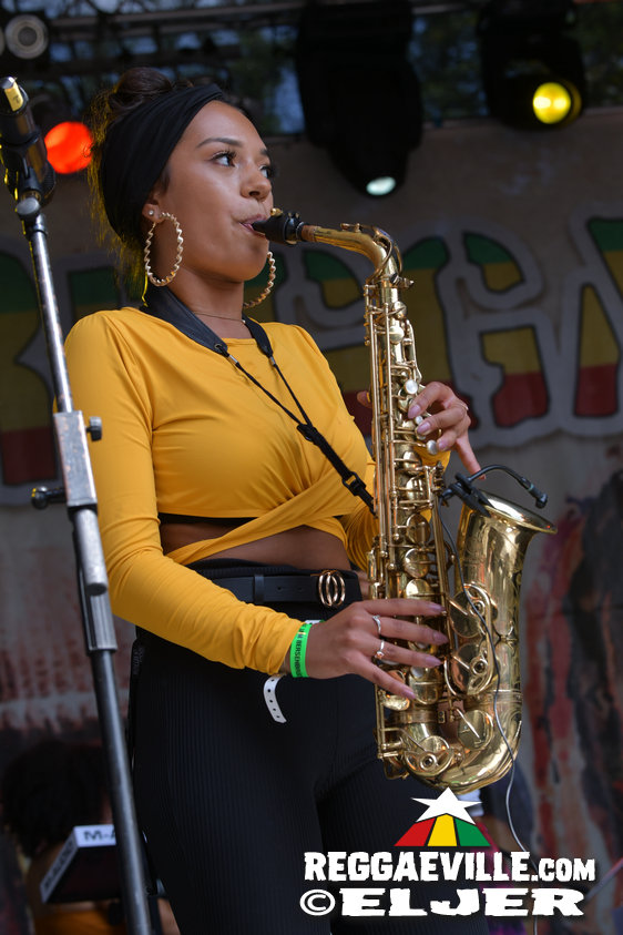 Busy Signal, Memoria, Dr.Ring Ding