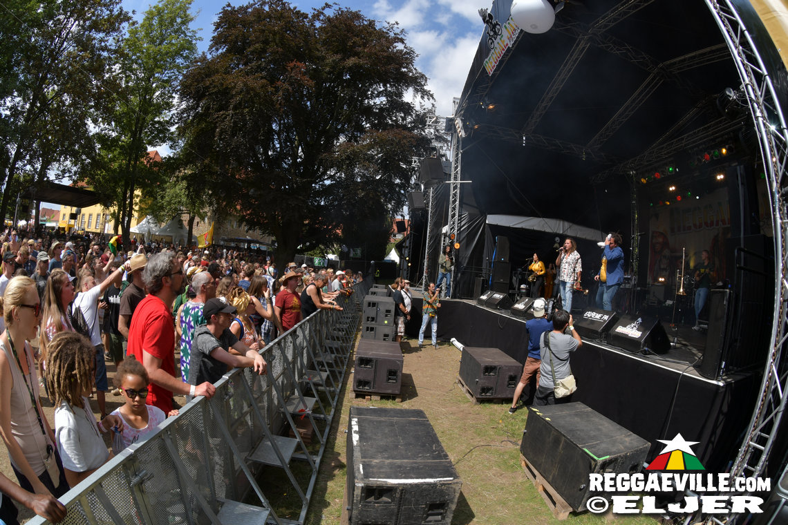 Busy Signal, Memoria, Dr.Ring Ding