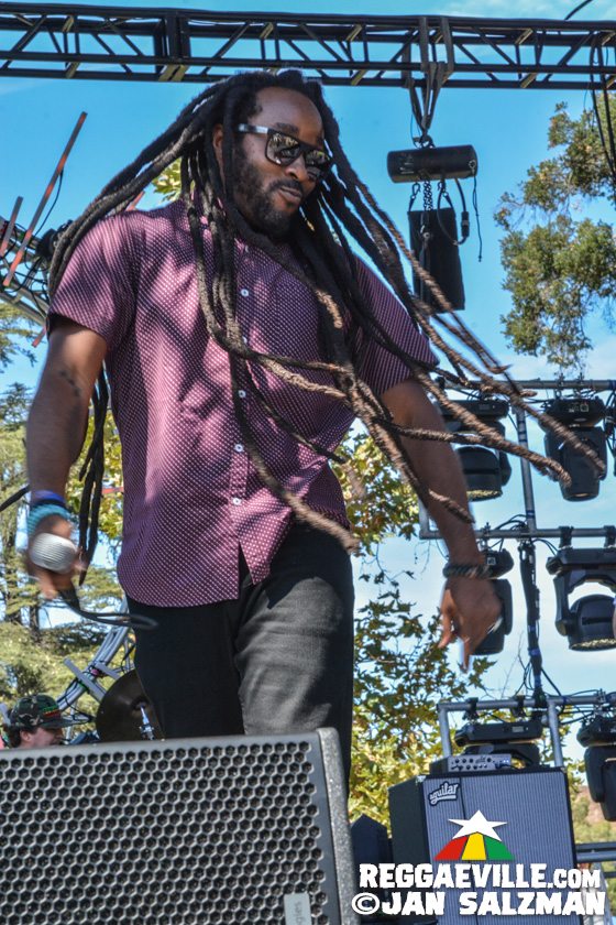 Steel Pulse, Julian Marley, Pato Banton, Arise Roots