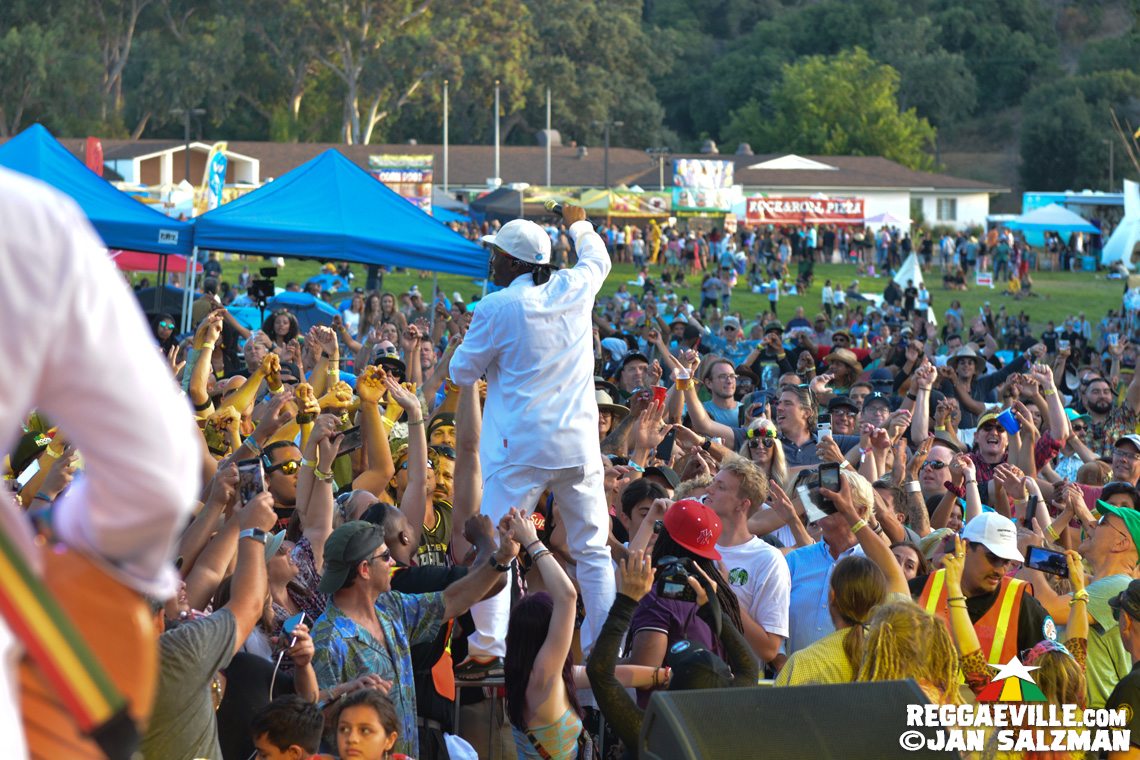 Steel Pulse, Julian Marley, Pato Banton, Arise Roots