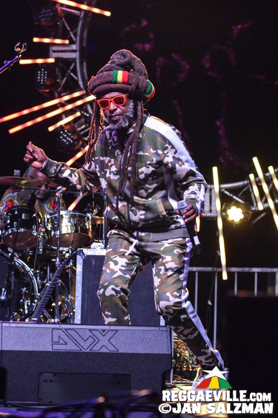 Steel Pulse, Julian Marley, Pato Banton, Arise Roots