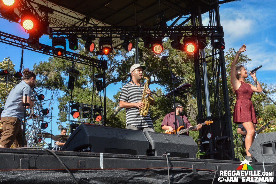 Third World, Hirie, Gondwana, Mike Love