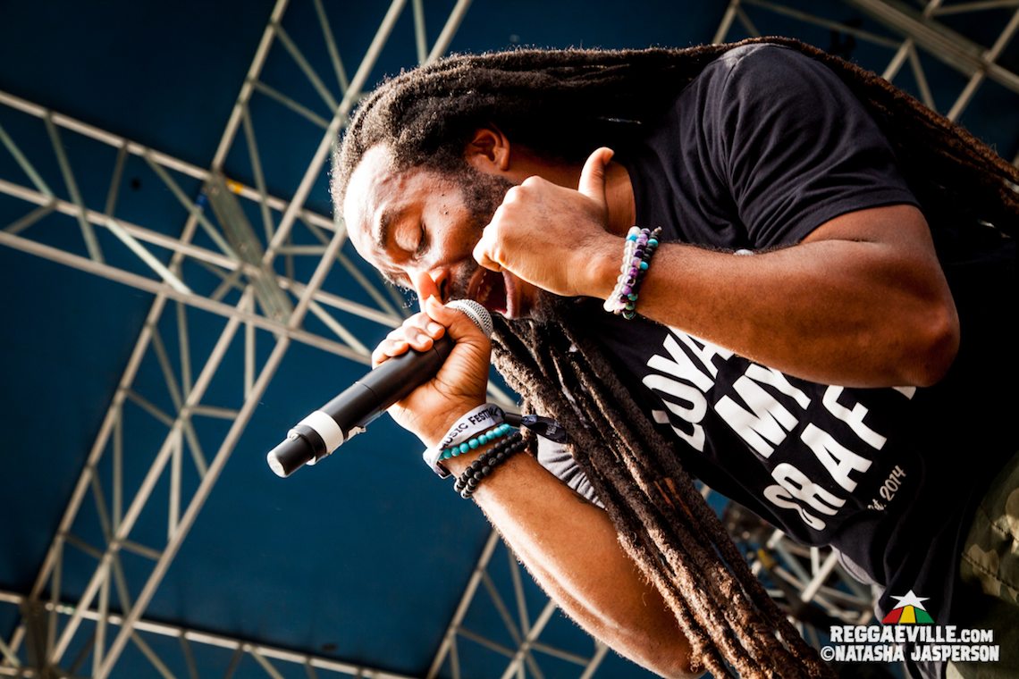 Arise Roots, Through The Roots , Summer Survivors, The Movement