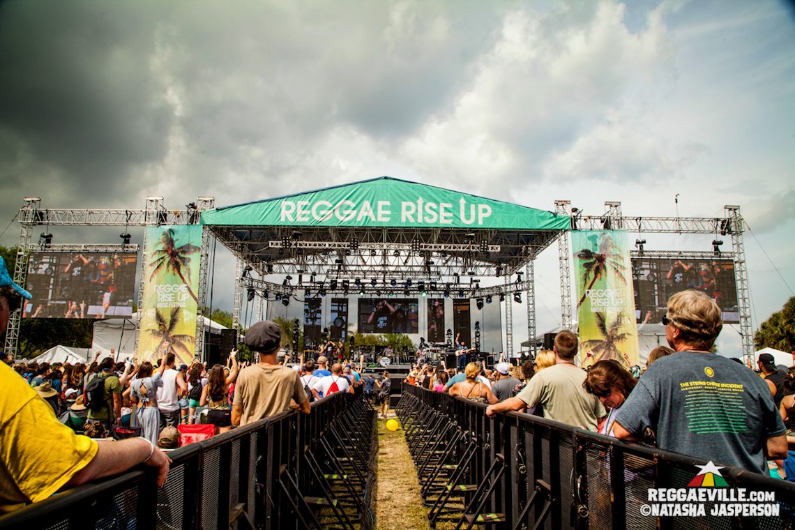 Arise Roots, Through The Roots , Summer Survivors, The Movement