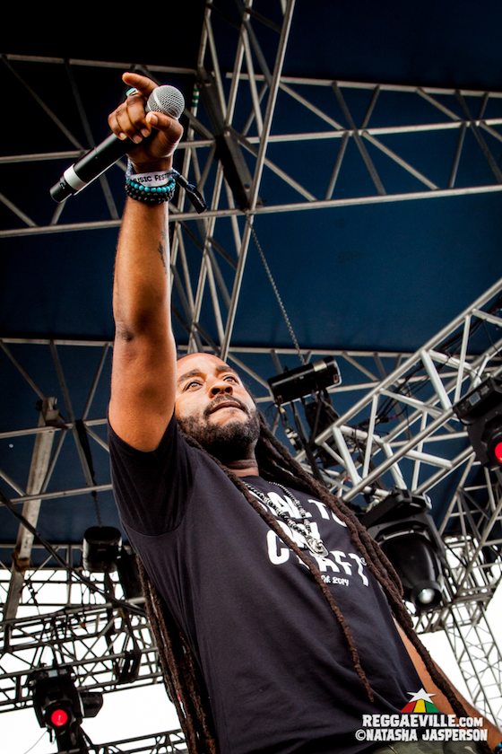 Arise Roots, Through The Roots , Summer Survivors, The Movement