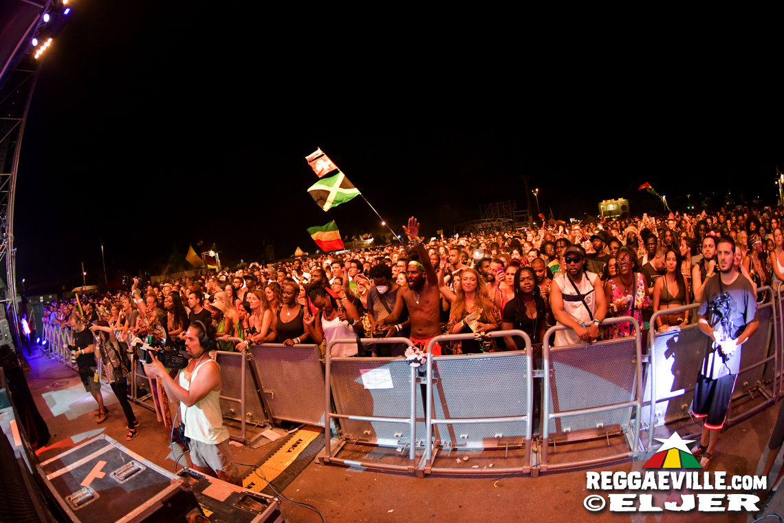 Festival Impressions