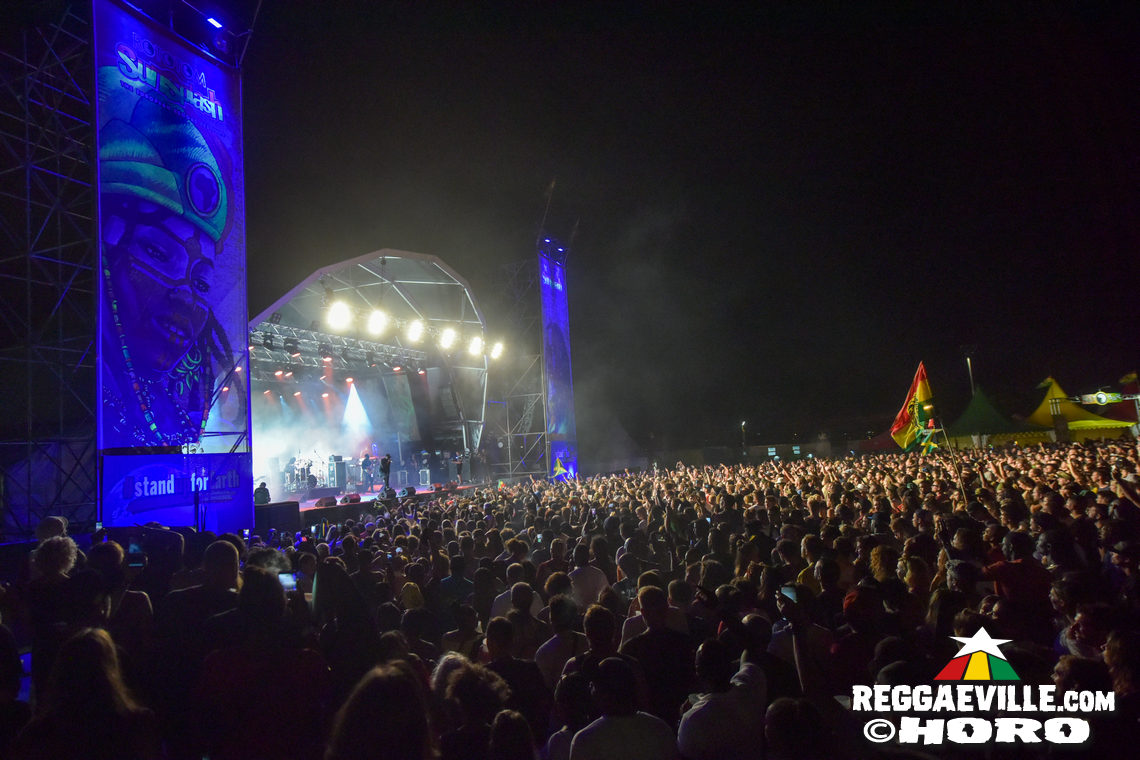 Festival Impressions