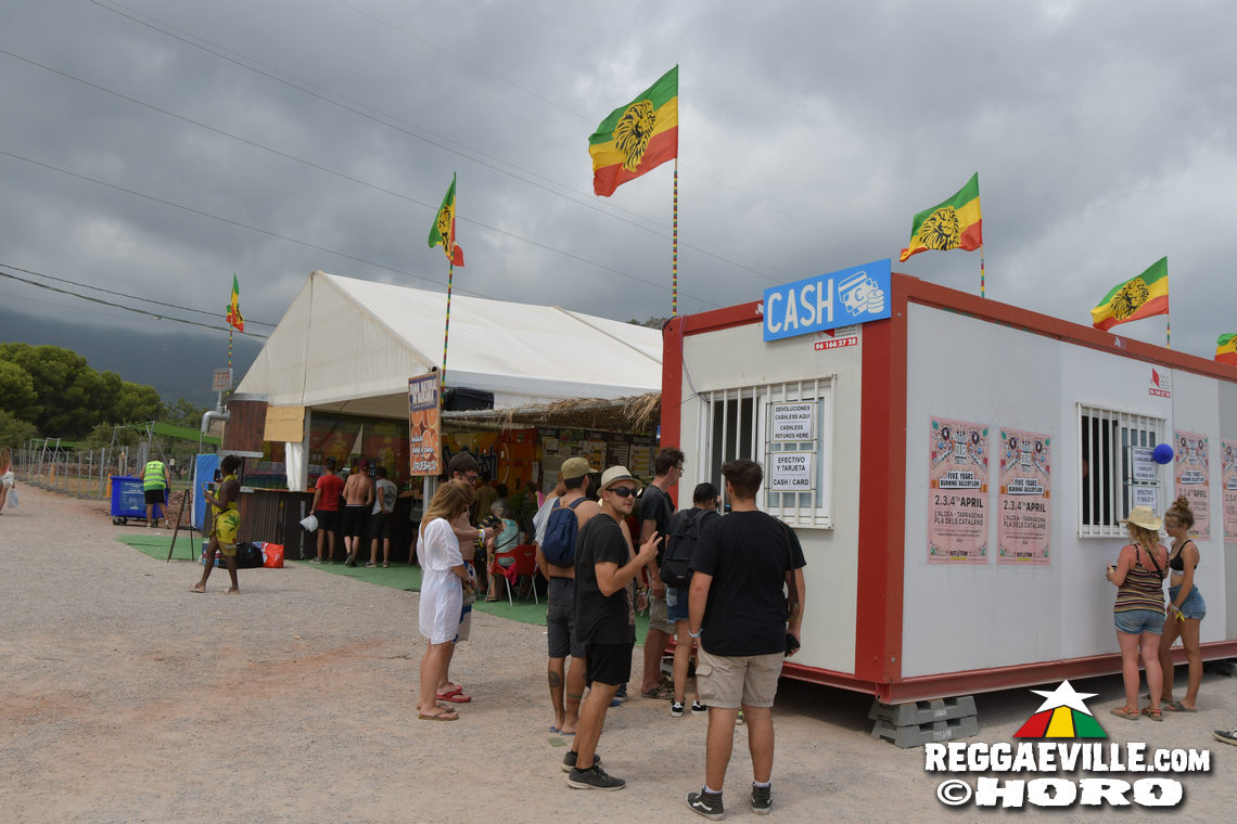 Festival Impressions