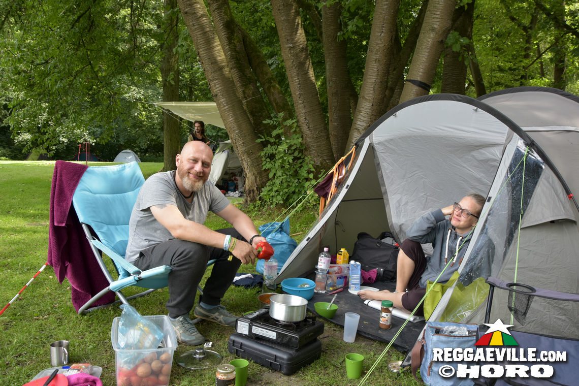 Festival Vibes