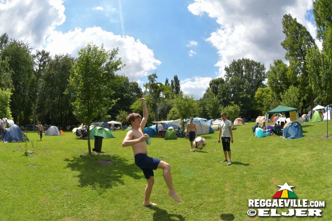 Festival Vibes