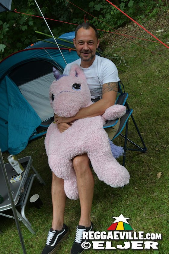 Festival Vibes