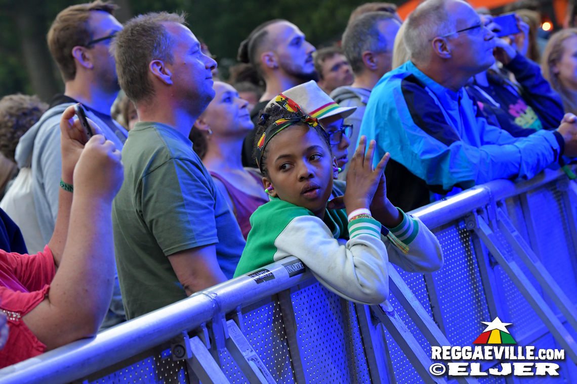 Festival Vibes
