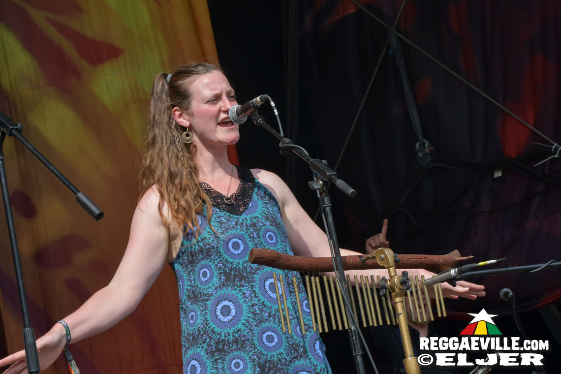 Chronixx, Boomtown Shakedown, Jin Jin