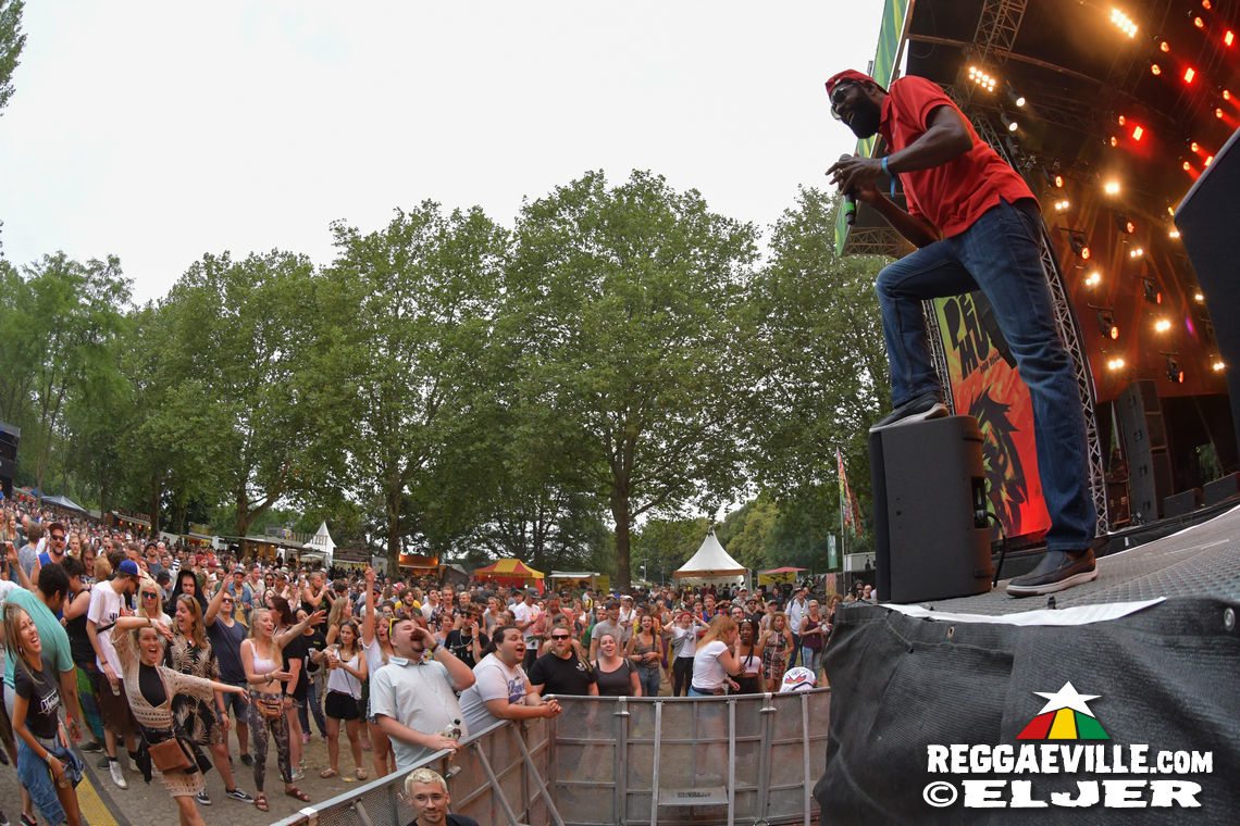 ManuDigital feat. Lt. Stitchie, Andrew Murphy, Che Sudaka