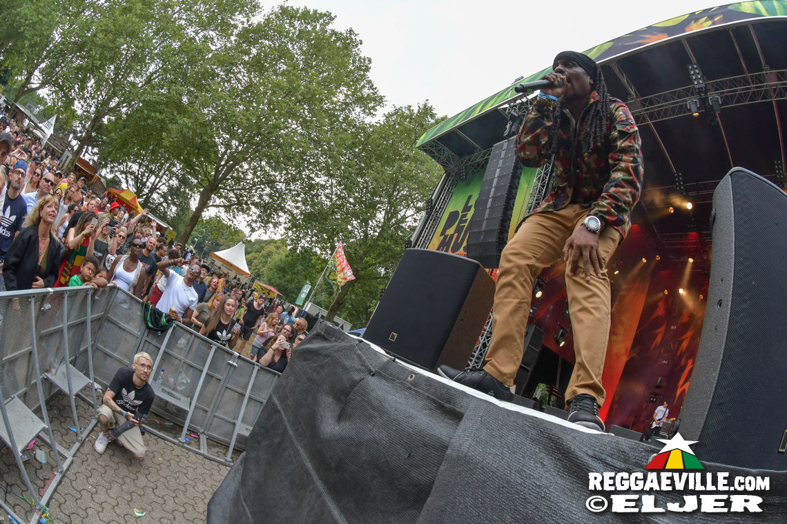 Chuck Fenda, New Kingston, Kunterbunt Soundsystem, Conexion Cubana