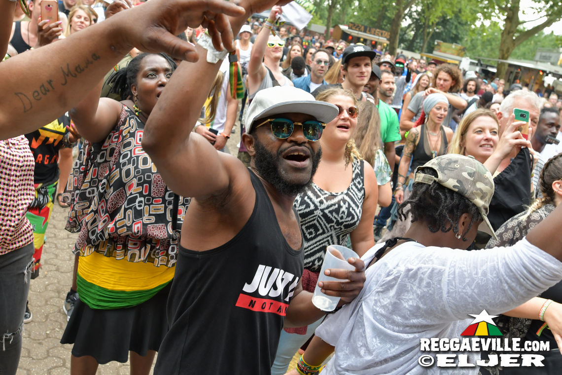 Chuck Fenda, New Kingston, Kunterbunt Soundsystem, Conexion Cubana