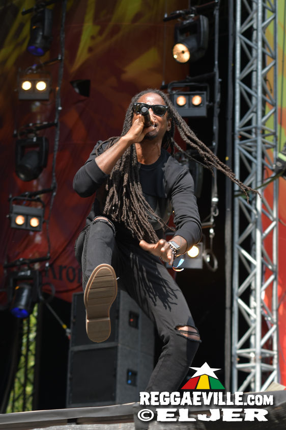 Chuck Fenda, New Kingston, Kunterbunt Soundsystem, Conexion Cubana