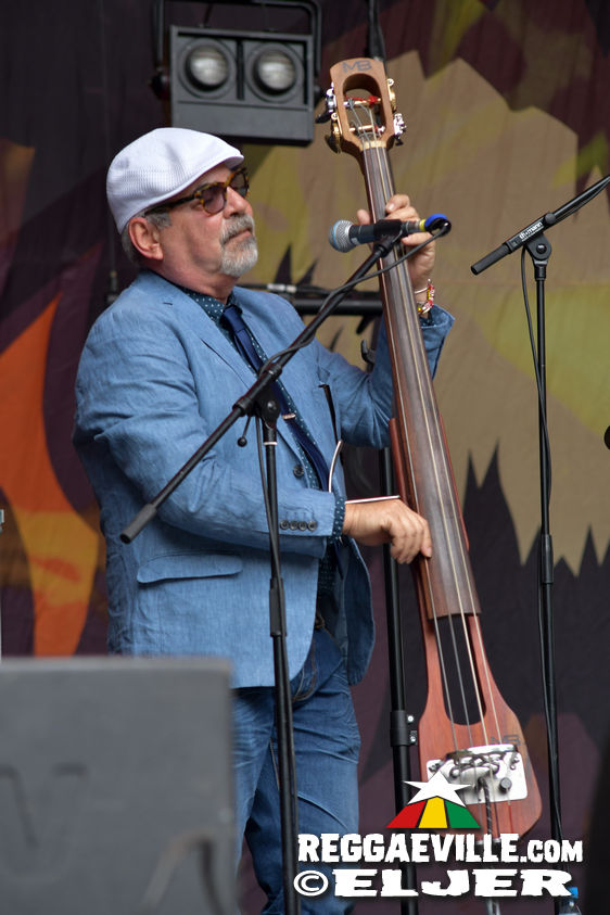 Chuck Fenda, New Kingston, Kunterbunt Soundsystem, Conexion Cubana