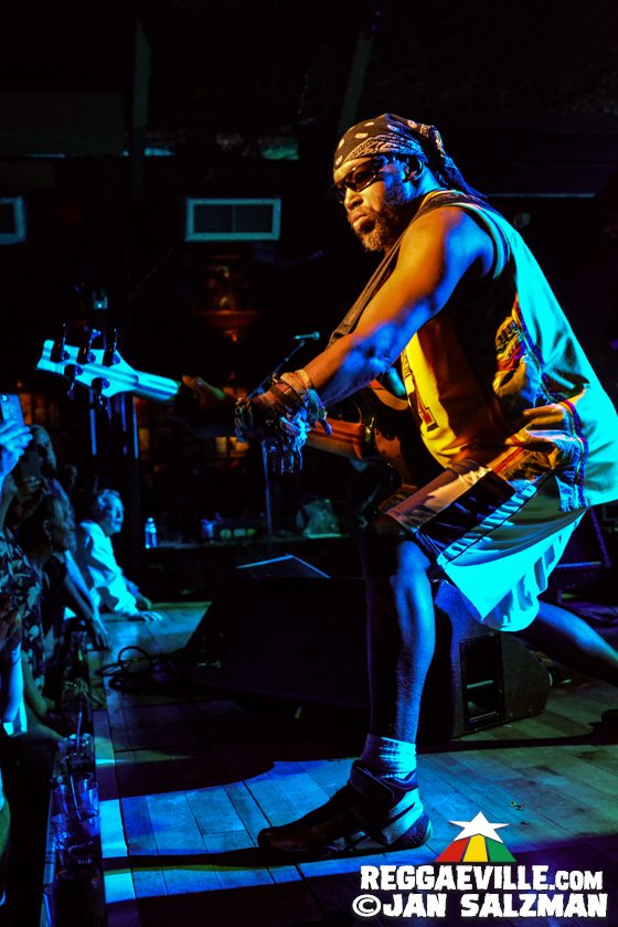 Steel Pulse, Ginger Roots and The Protectors