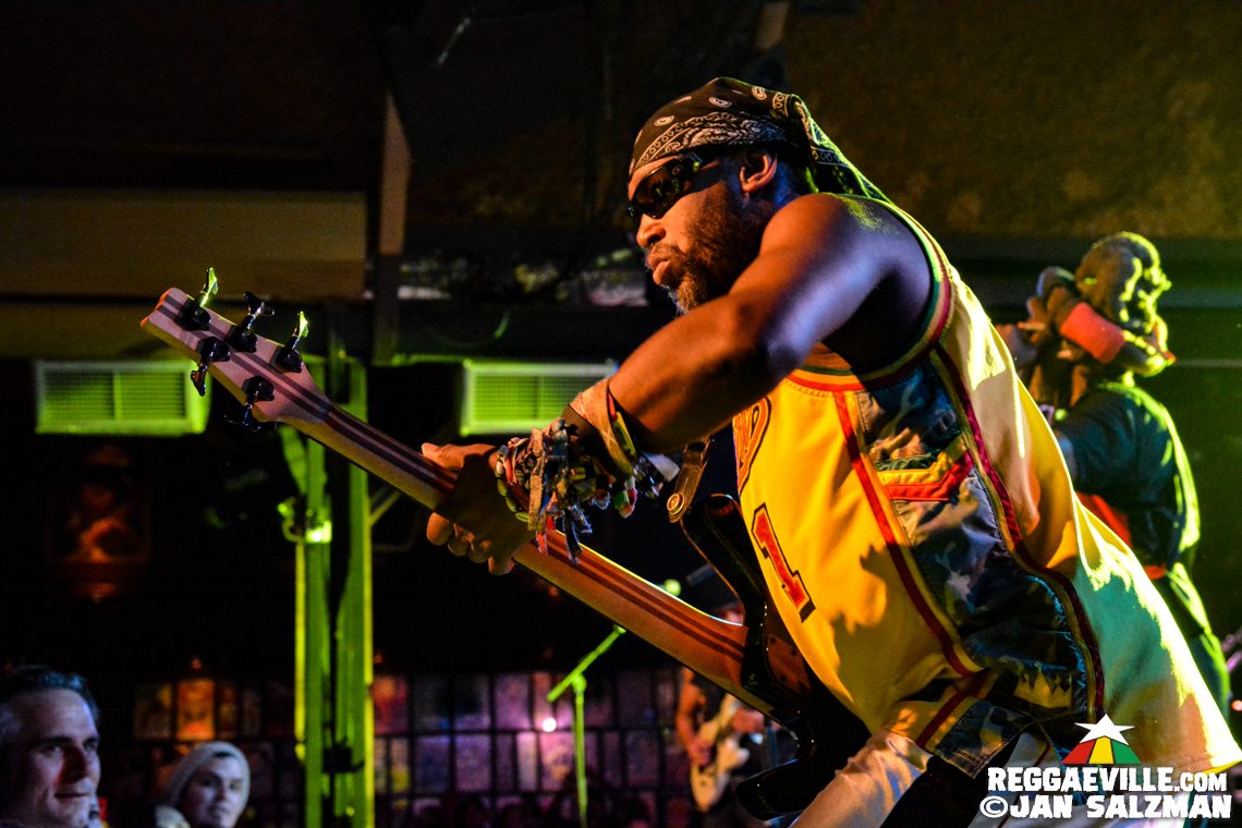 Steel Pulse, Ginger Roots and The Protectors