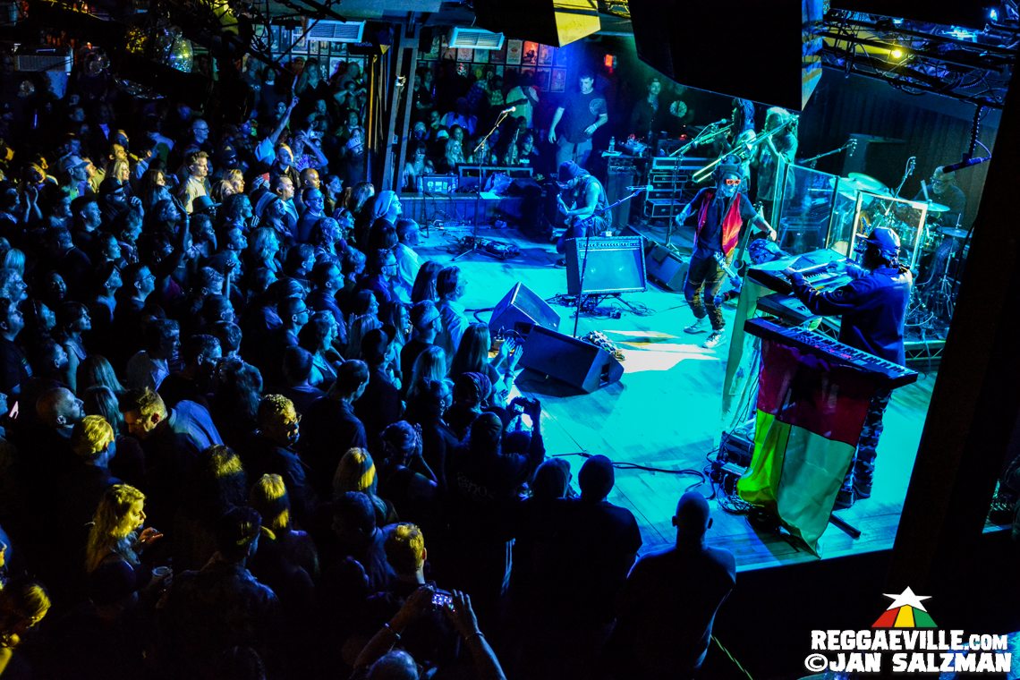 Steel Pulse, Ginger Roots and The Protectors