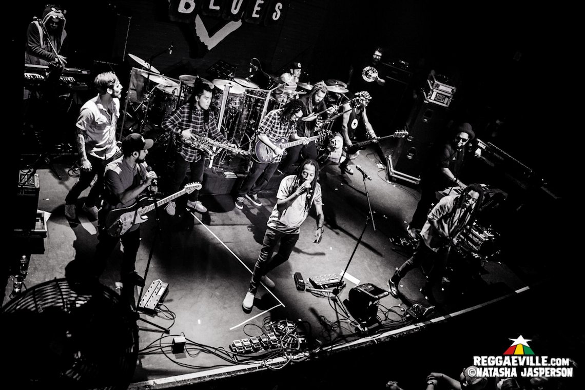 Steel Pulse, Tribal Seeds, New Kingston, Tropidelic