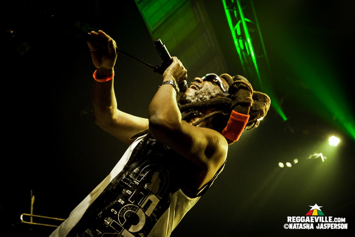 Steel Pulse, Tribal Seeds, New Kingston, Tropidelic