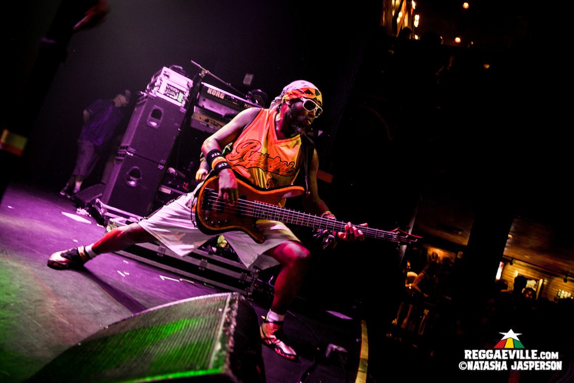 Steel Pulse, Tribal Seeds, New Kingston, Tropidelic