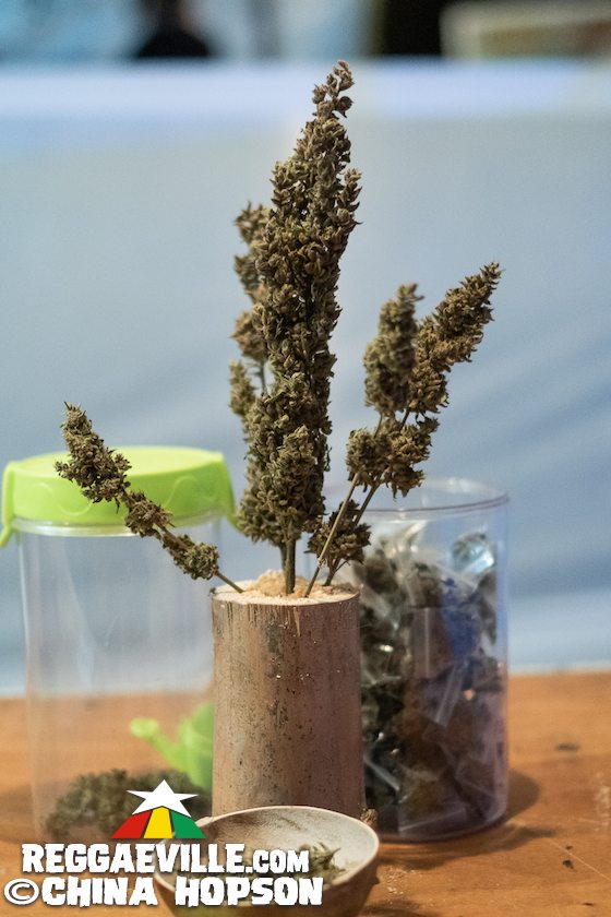 Lee Scratch Perry, Half Pint, Aza Lineage