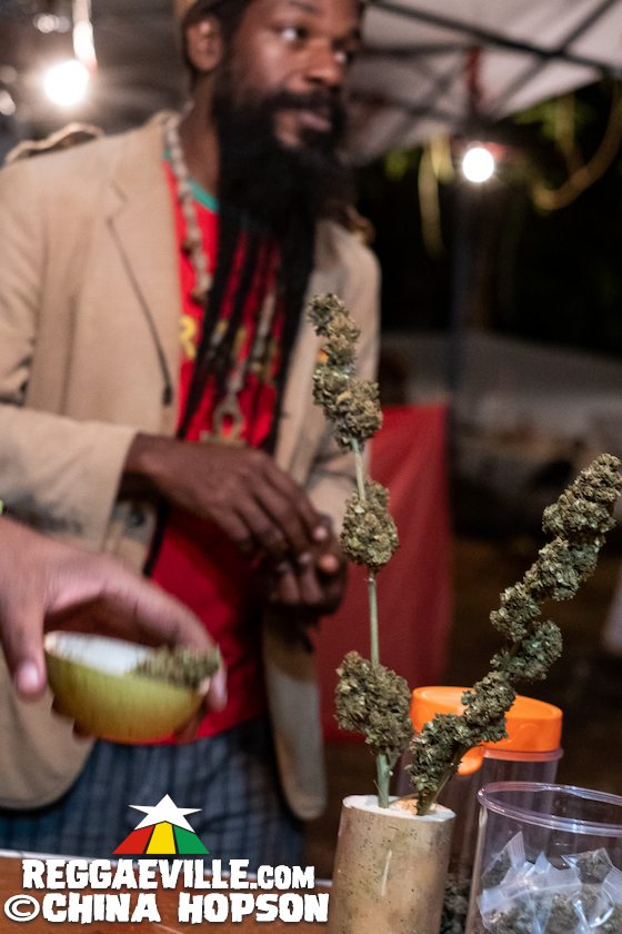 Lee Scratch Perry, Half Pint, Aza Lineage