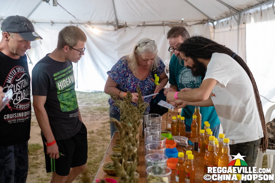 Capleton, I Wayne, Addis Pablo, Dann-I