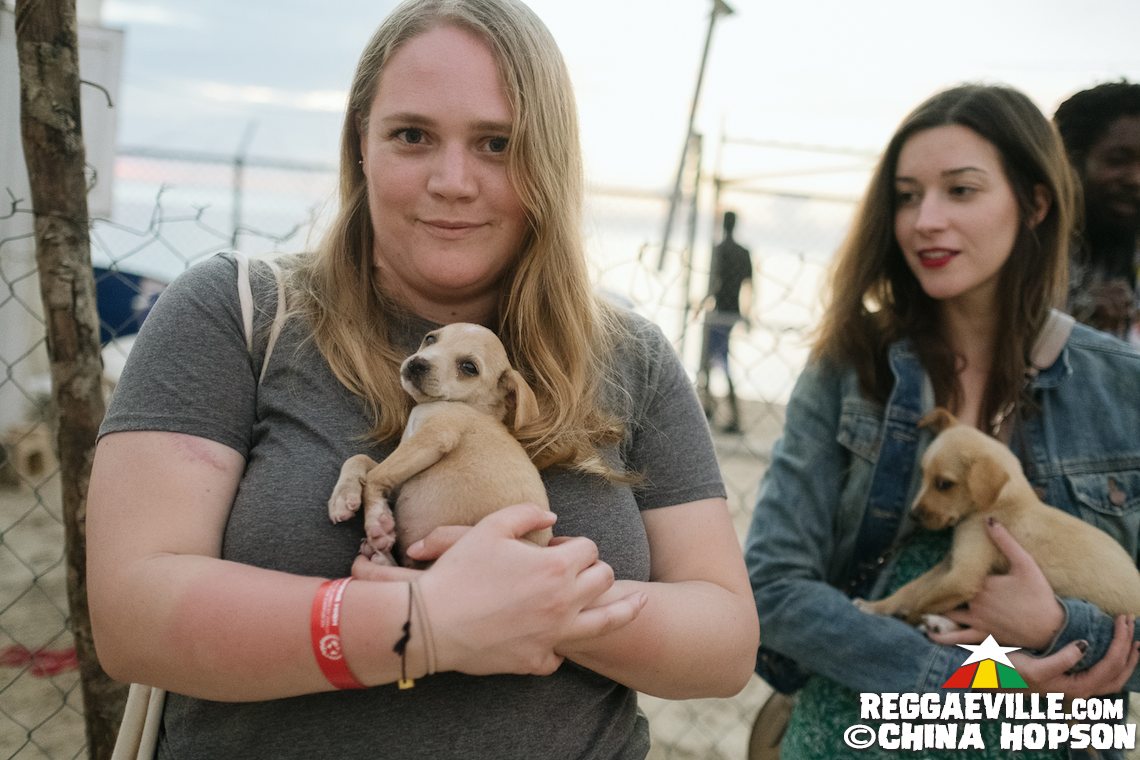 Capleton, I Wayne, Addis Pablo, Dann-I
