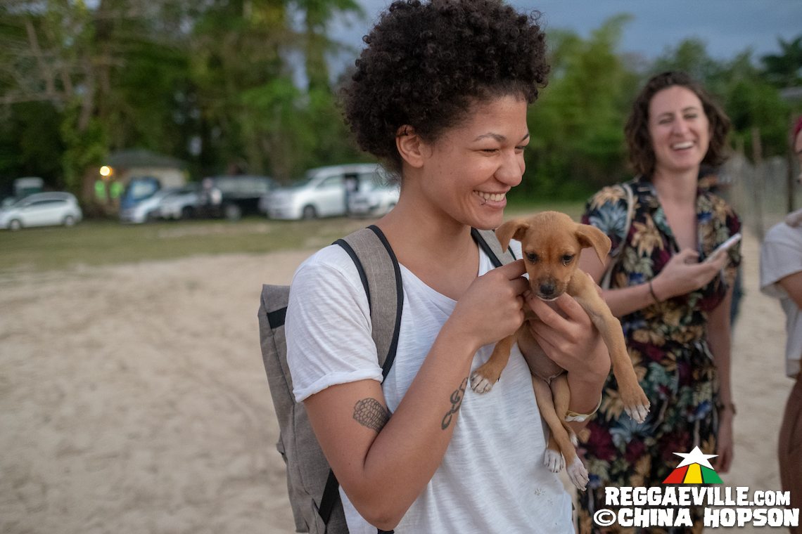 Capleton, I Wayne, Addis Pablo, Dann-I