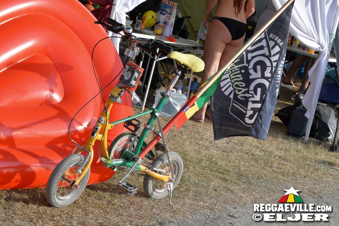 Impressions @ SummerJam 2019