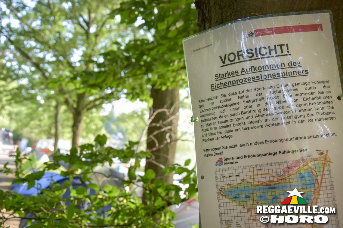 Impressions @ SummerJam 2019