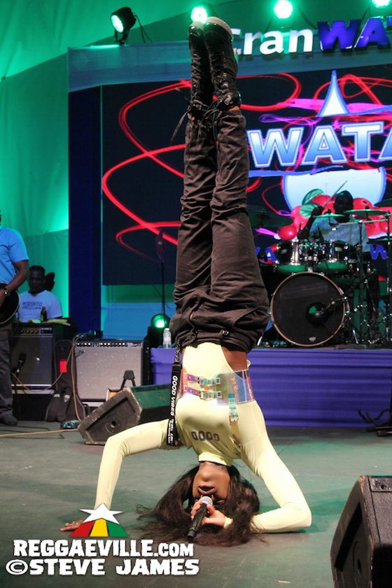 Capleton, Dexta Daps, Jahmiel, I Wayne and more...