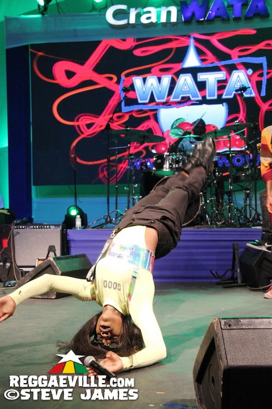 Capleton, Dexta Daps, Jahmiel, I Wayne and more...