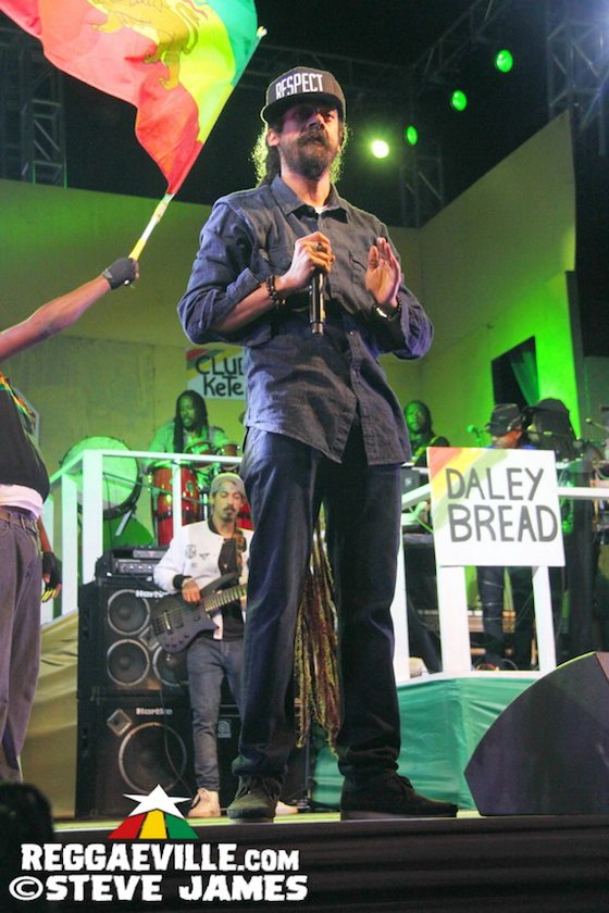 Damian Marley, Kabaka Pyramid, Third World, Shaggy, Freddie McGregor, Luciano
