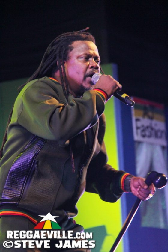 Damian Marley, Kabaka Pyramid, Third World, Shaggy, Freddie McGregor, Luciano