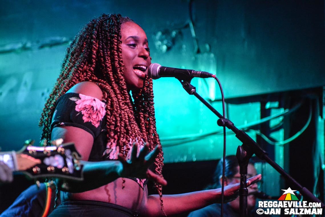 Tuff Gong Distribution Label Showcase