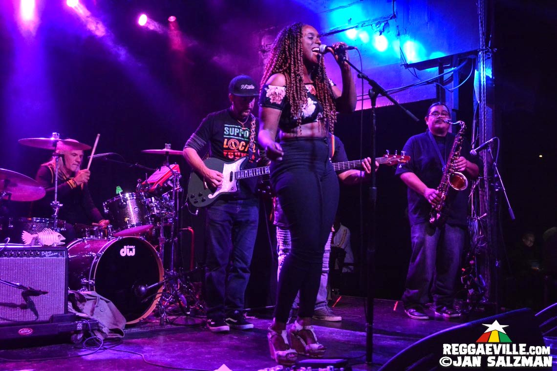 Tuff Gong Distribution Label Showcase